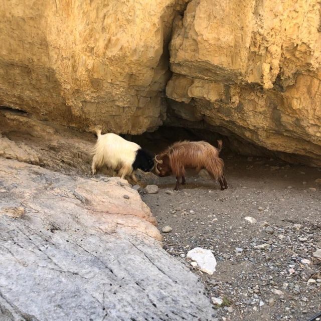 Self-Drive 4X4 Jeep Safari - South Crete Swimming & Canyons - The Sum Up