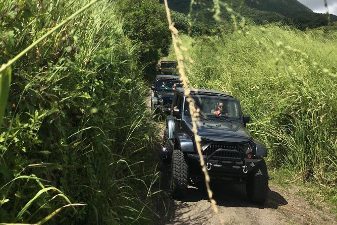 Self Drive 4x4 Off Road Jeep Wrangler & Beach Chill - Exploring St Kitts in a Self-Drive 4x4 Jeep Wrangler & Beach Chill Tour