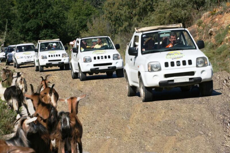Self-Drive Jeep Safari to South Coast, Palm Beach & Canyons - Who Is This Tour Best For?