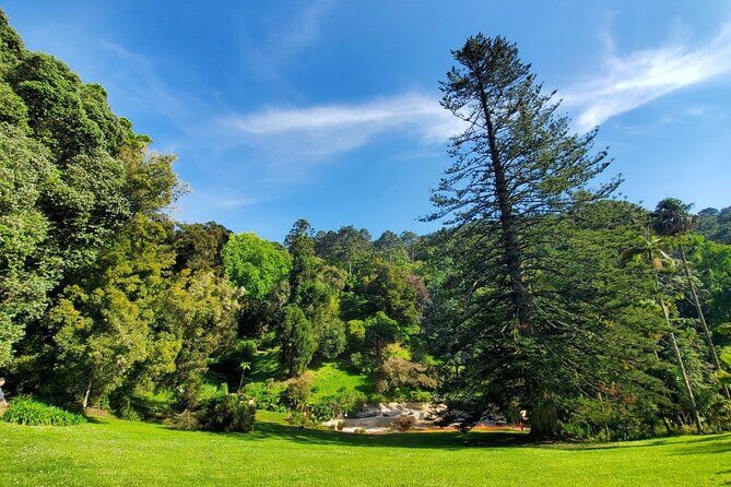 Self-Drive Tour in Sintra - Quinta da Regaleira & Azenhas do Mar - FAQ