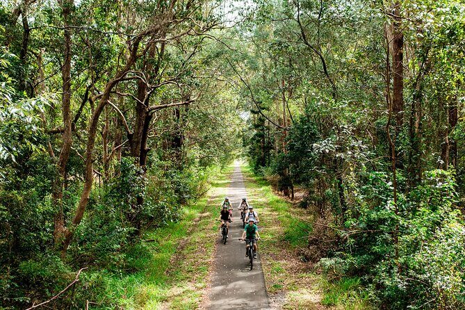 Self Guide E Bike Tour - Husk Distillery, Rainforest & Rail Trail - FAQs