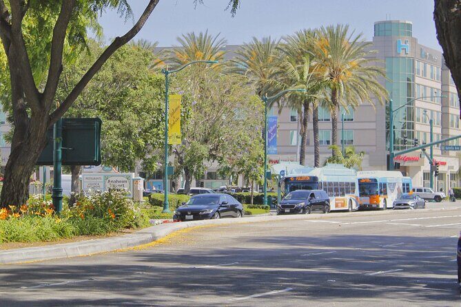 Self-Guided Anaheim Scavenger Hunt: Anaheim Grapes To Glory - Who Will Love This Tour?