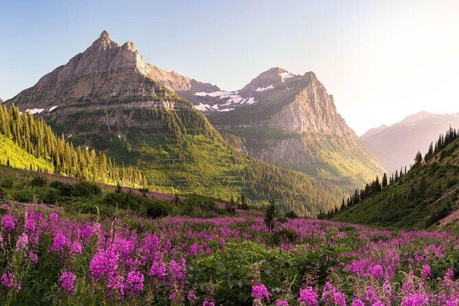 Self-Guided Audio Driving Tour in Glacier National Park - In-Depth Look at the Glacier National Park Audio Driving Tour