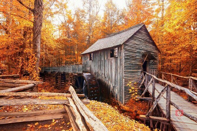 Self-Guided Audio Driving Tour in Great Smoky Mountains - Final Thoughts