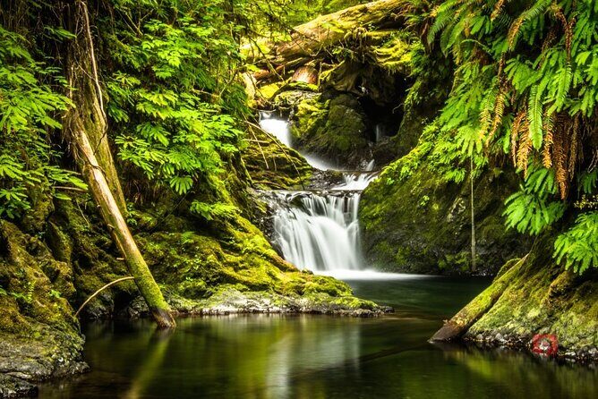 Self-Guided Audio Driving Tour in Olympic National Park - Frequently Asked Questions