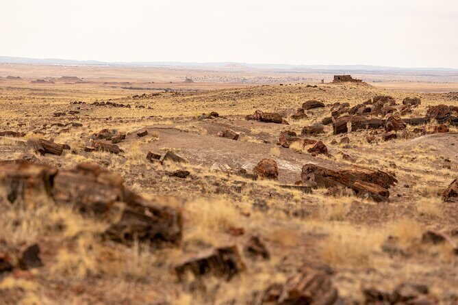 Self-Guided Audio Driving Tour in Petrified Forest National Park - Detailed Breakdown of the Itinerary
