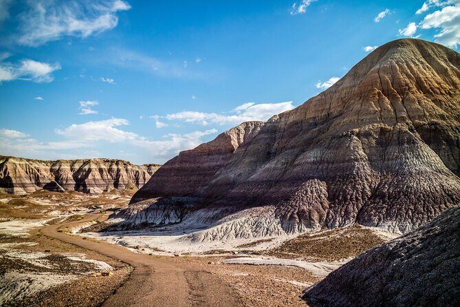 Self-Guided Audio Driving Tour in Petrified Forest National Park - Who Should Consider This Tour?