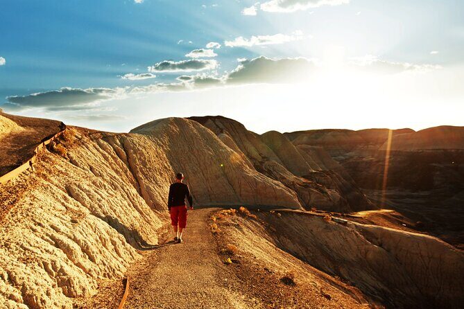 Self-Guided Audio Driving Tour in Petrified Forest National Park - The Sum Up