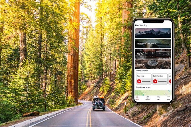 Self-Guided Audio Driving Tour in Sequoia and Kings Canyon - Discover Sequoia and Kings Canyon with a Self-Guided Audio Driving Tour