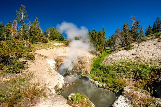 Self-Guided Audio Driving Tour in Yellowstone National Park - Who Should Consider This Tour?