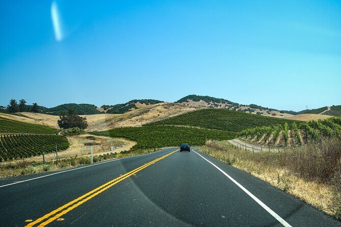 Self-Guided Audio Driving Tour of Sonoma and Napa Valley - Who Will Love This Tour?