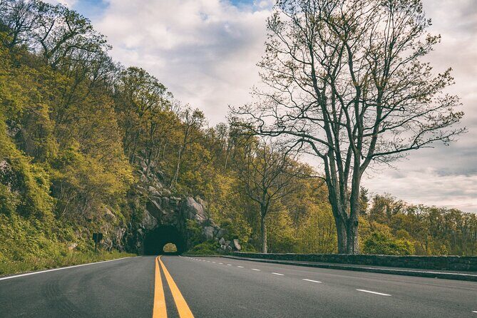 Self Guided Audio Tour Skyline Drive and Shenandoah NP - What Travelers Say