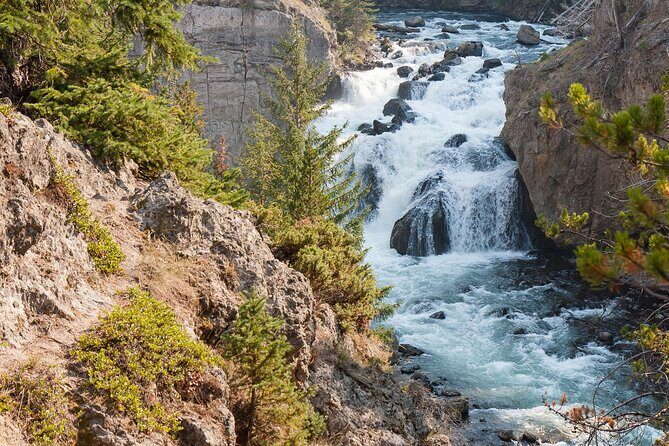 Self-Guided Audio Walking Tour to Grand Prismatic Overlook - Who Will Love This Tour?