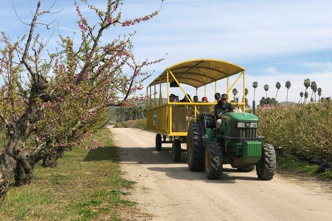 Self-Guided Bakersfield Scavenger Hunt: Resilient Bakersfield - Practical Details and What to Expect