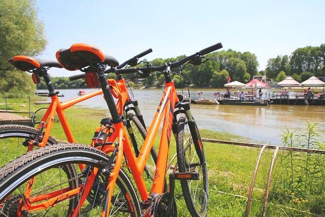 Self-guided Bicycle Tour to Szentendre and return by boat - Who Will Love This Tour?