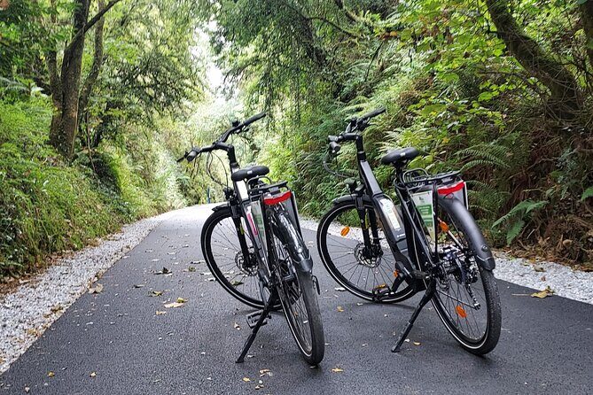 Self Guided Bike Tour on the Limerick Greenway - Final Thoughts