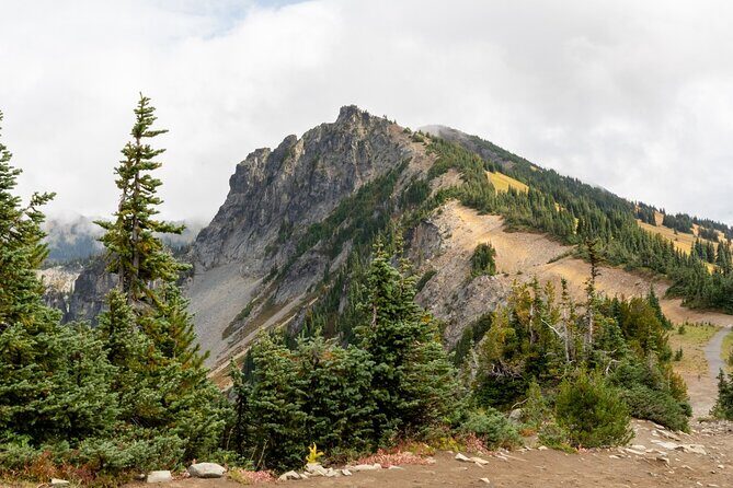 Self Guided Driving Audio Tour of Mount Rainier National Park - Key Points