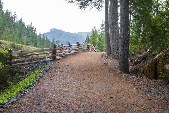 Self Guided Driving Audio Tour of Mount Rainier National Park - The Sum Up
