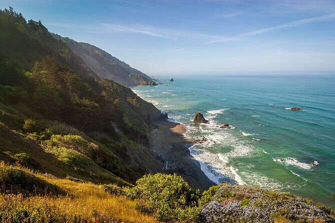 Self Guided Driving Audio Tour of Redwood National and State Park - A Self-Guided Driving Audio Tour of Redwood National and State Parks — A Practical Guide to Exploring California’s Giants