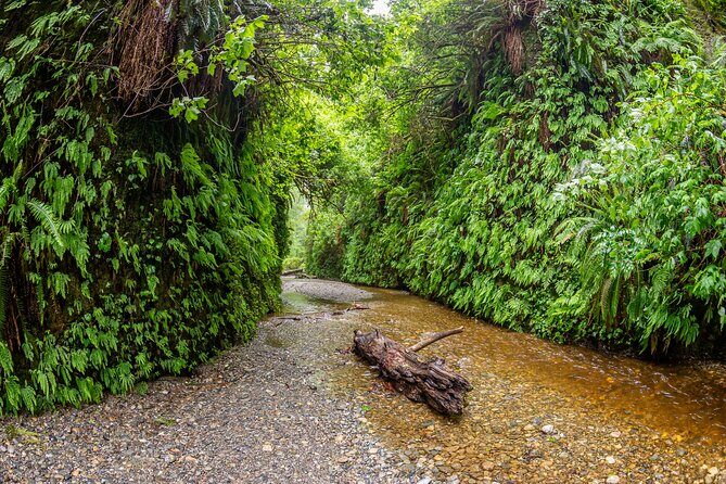 Self Guided Driving Audio Tour of Redwood National and State Park - Why This Tour Is a Good Investment