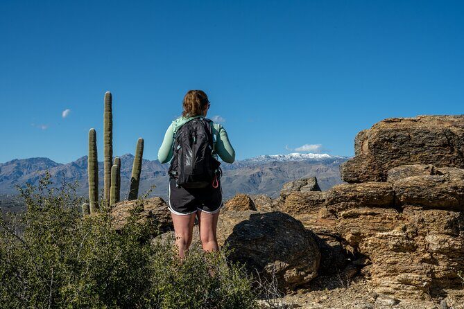 Self Guided Driving Audio Tour of Saguaro National Park - Authentic Experiences and Authenticity of the Tour