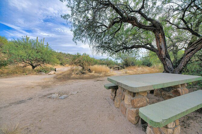 Self Guided Driving Audio Tour of Saguaro National Park - Who Should Consider This Tour?