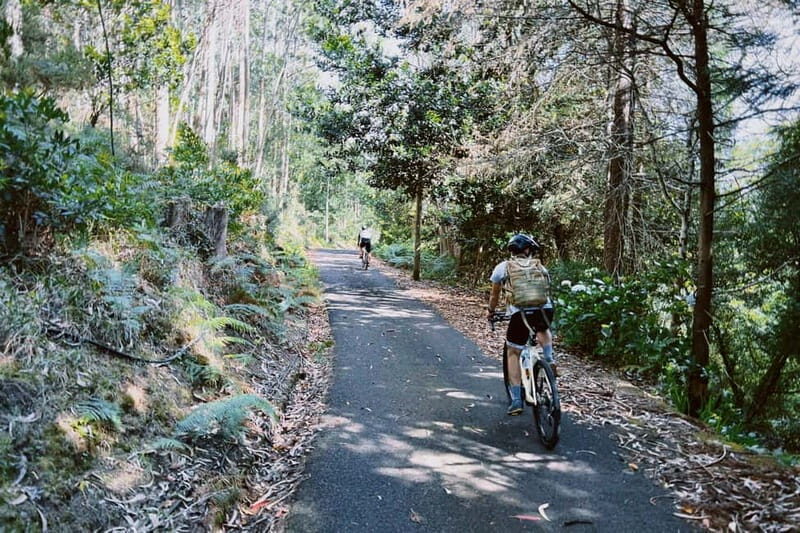 Self-Guided E-Bike Road Tour - Camacha to Monte with Lunch - Self-Guided E-Bike Road Tour – Camacha to Monte with Lunch
