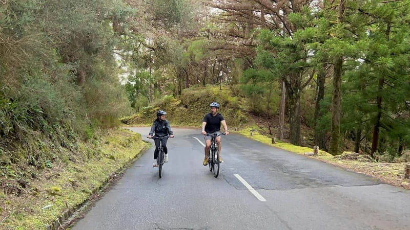 Self-Guided E-Bike Road Tour - Camacha to Monte with Lunch - A Thorough Breakdown of the Experience