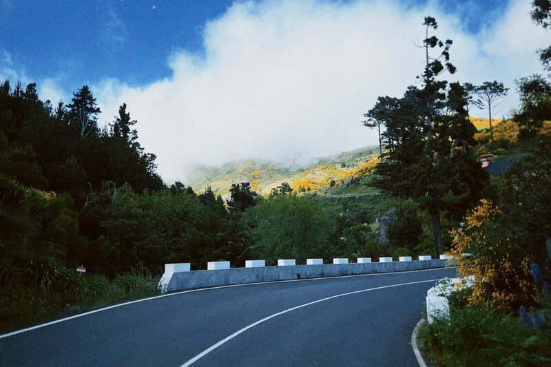 Self-Guided E-Bike Road Tour - Camacha to Monte with Lunch - Final thoughts: Is this tour right for you?