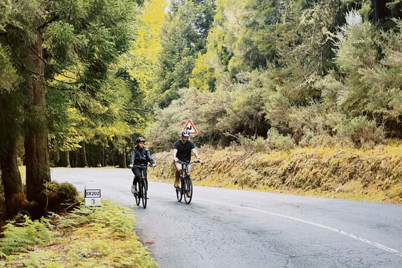 Self-Guided E-Bike Road Tour - Camacha to Monte with Lunch - FAQs
