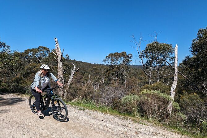 Self Guided Ebike Winery Tour in the Adelaide Hills - Key Points