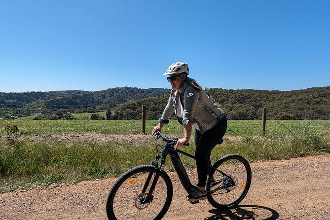 Self Guided Ebike Winery Tour in the Adelaide Hills - What the Drinks-Only Reviewers Say
