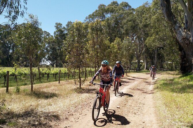 Self Guided Ebike Winery Tour in the Adelaide Hills - Final Thoughts: Who Will Love This Tour?