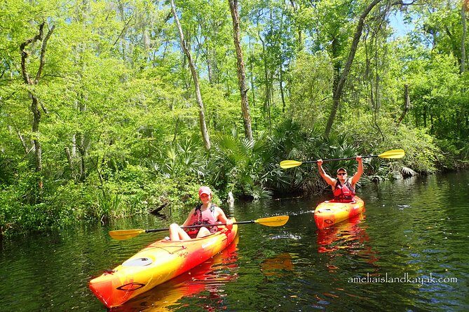Self Guided Family Friendly Kayak Rental Experience Old Florida - Exploring Old Florida by Kayak: A Family-Friendly Adventure in Jacksonville