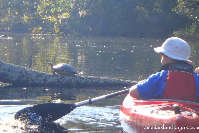 Self Guided Family Friendly Kayak Rental Experience Old Florida - Key Points