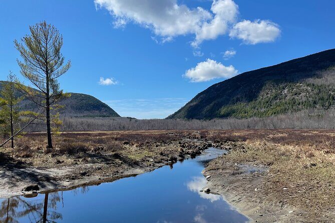 Self Guided GPS Audio Driving Tour Acadia NP From Hulls Cove VC - Who Is This Tour Best For?