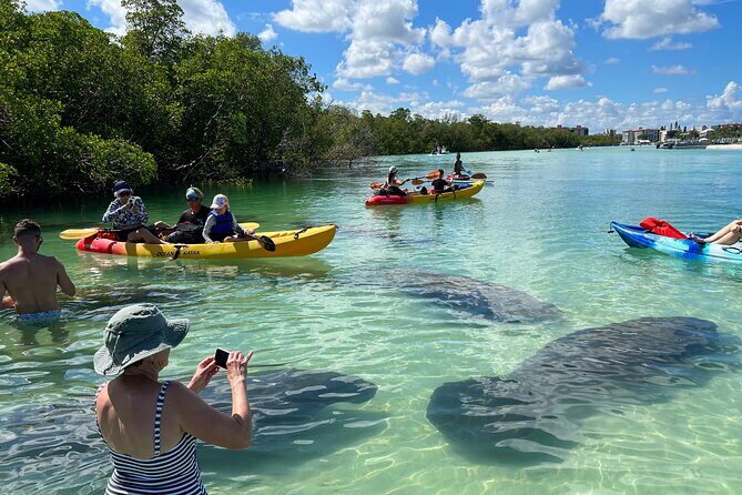 Self-Guided Island Tour: CLEAR/Standard Kayak, SUP-Bonita Springs - Experience the Natural Charm of Bonita Springs on a Self-Guided Kayak or SUP Tour