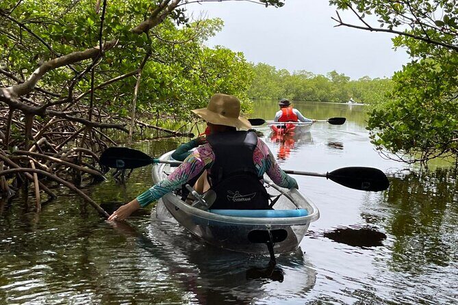 Self-Guided Island Tour: CLEAR/Standard Kayak, SUP-Bonita Springs - Key Points