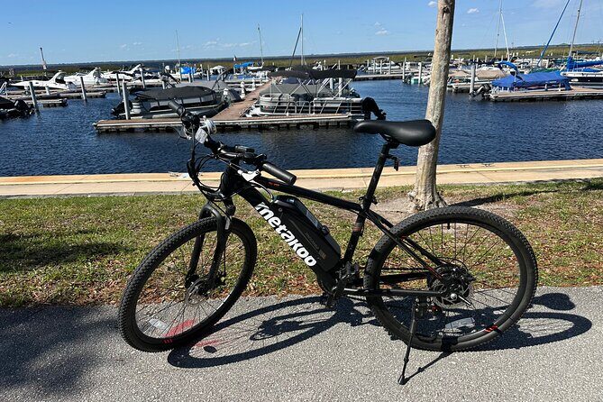 Self Guided Lakefront Tour on Electric Bike in Kissimmee (3 hrs.) - Practical Tips and Considerations