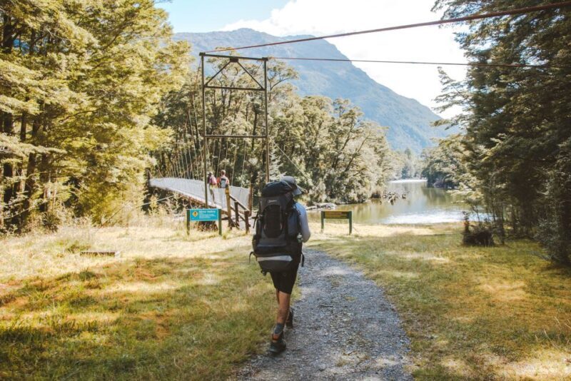 Self-Guided Milford Track Day Walk from Lake Te Anau - The Detailed Review