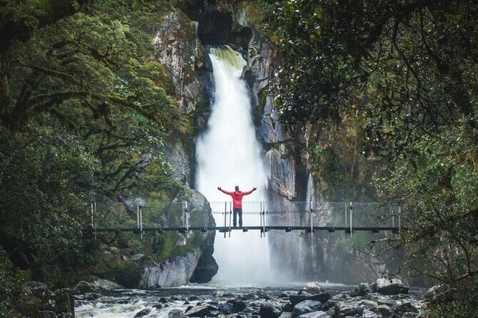Self-Guided Milford Track Day Walk - Milford Sound - Frequently Asked Questions