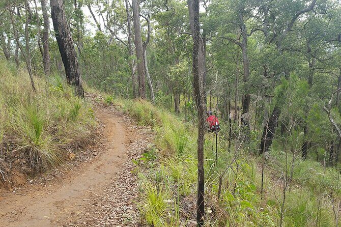 Self-Guided Mountain Bike Tours in Port Douglas - The Experience in Detail