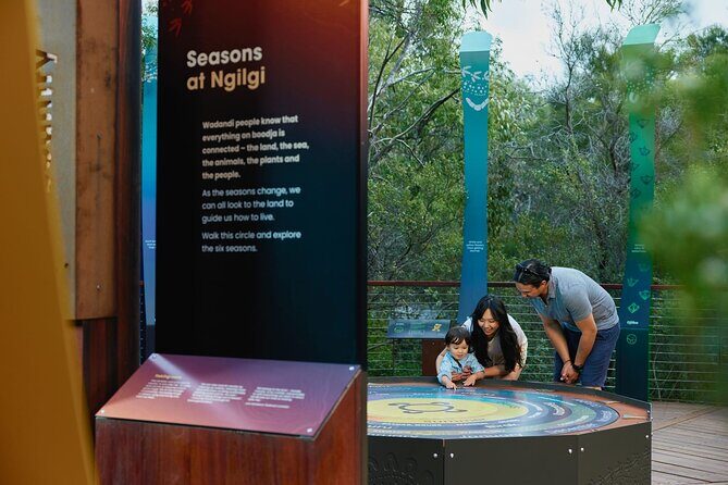Self-Guided Ngilgi Cave Ancient Lands Experience - In-Depth Review of the Ngilgi Cave Ancient Lands Experience