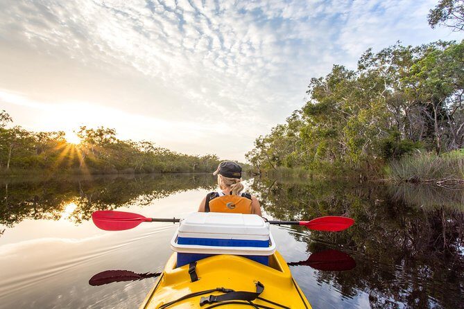 Self-Guided Noosa Everglades Kayak Tour - An Authentic Look at the Self-Guided Noosa Everglades Kayak Tour
