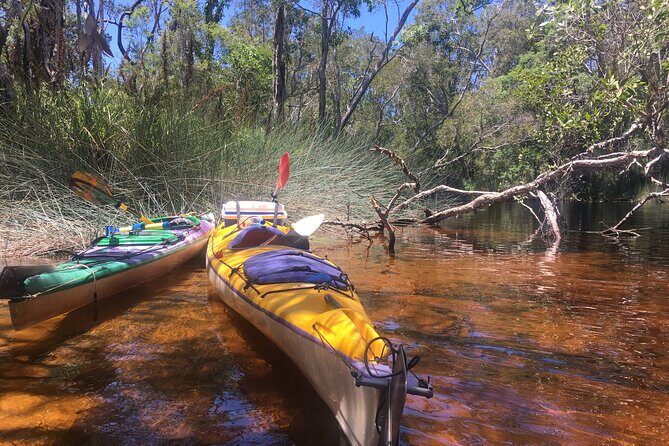 Self-Guided Noosa Everglades Kayak Tour - Concluding Thoughts