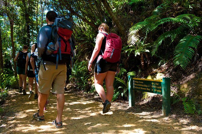 Self-Guided Queen Charlotte Track Walk from Picton - Analyzing the Value and Experience