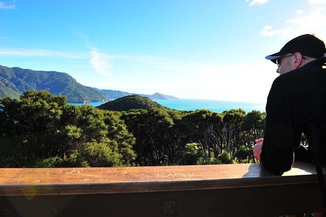 Self-Guided Queen Charlotte Track Walk from Picton - Practical Tips for Travelers