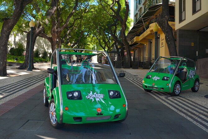 Self-Guided Sightseeing Tour on an Eletric Car | Funchal - Final Thoughts: Is It Worth It?