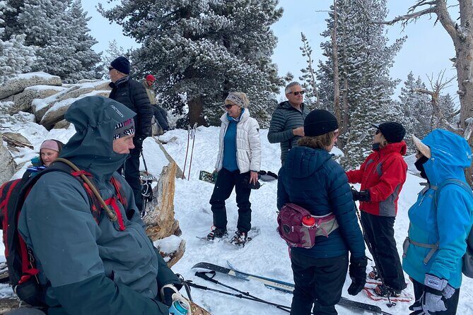 Self Guided Snowshoe Experience at Lake Tahoe - Why We Love This Experience