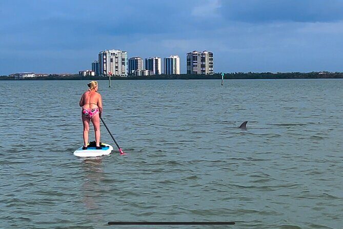 Self Guided Standup Paddle Board EcoTour -Bonita Springs - A Deep Dive Into the EcoTour Experience